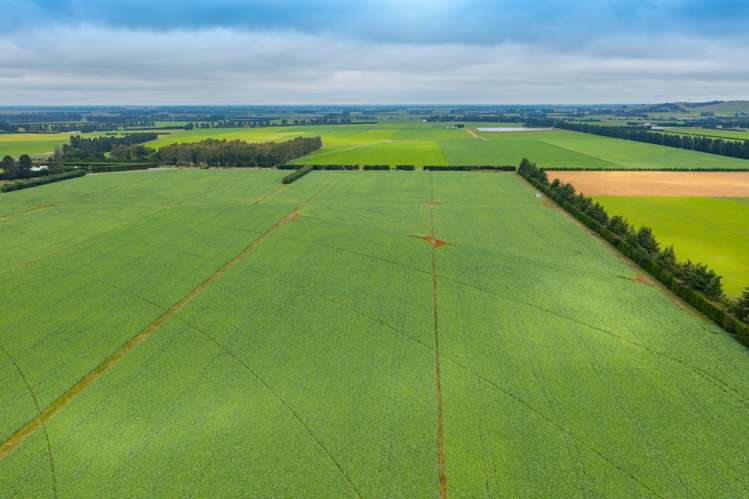 130 Glentui Bennetts Road Oxford_15