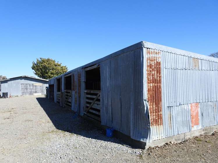 85 Higgins Road Brightwater_15