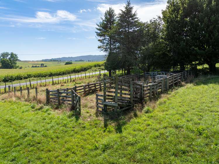 818 Puahue Road Rotoorangi_22