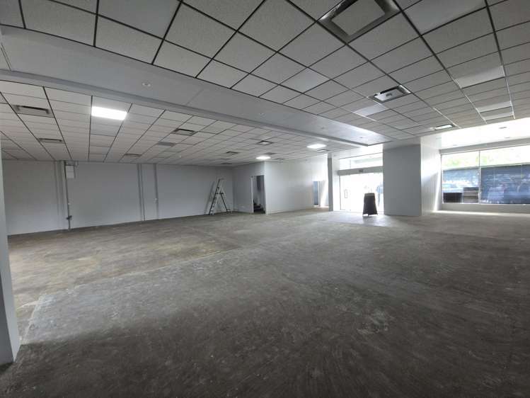 5 Totara Avenue New Lynn_5