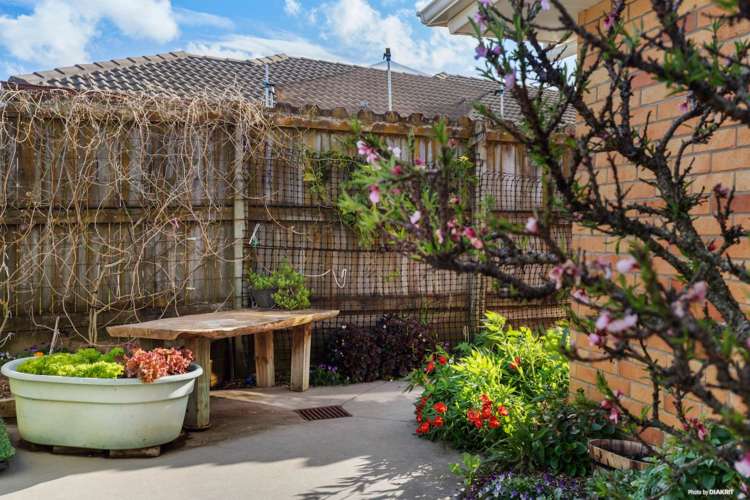 17 Ploughmans Avenue Pukekohe_14