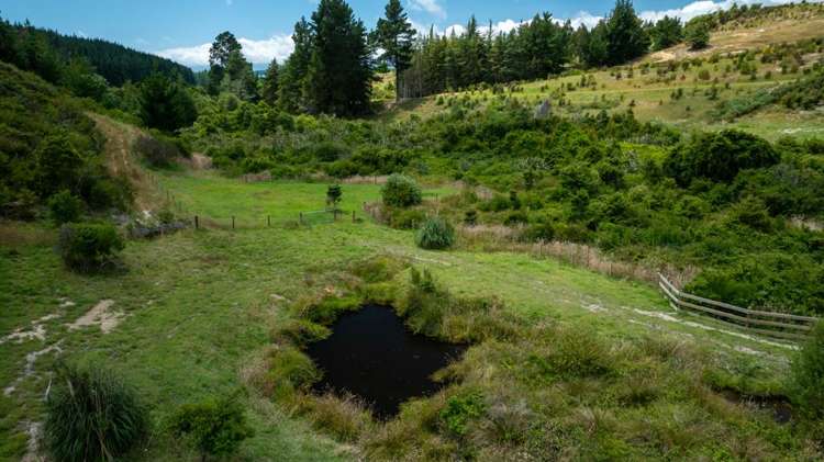 230 Stringer Road Upper Moutere_31