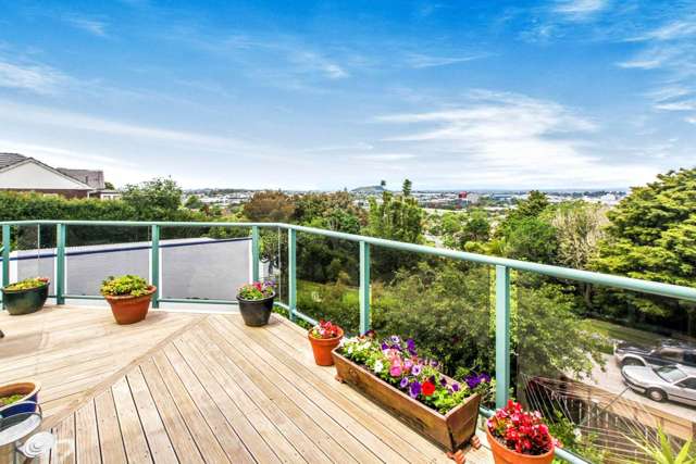 53 Te Kawa Road Greenlane_1