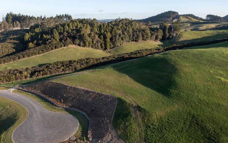 Palliser Downs Drive Wainui_10