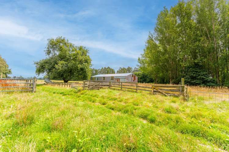 79 Halstead Road Pleasant Point_4