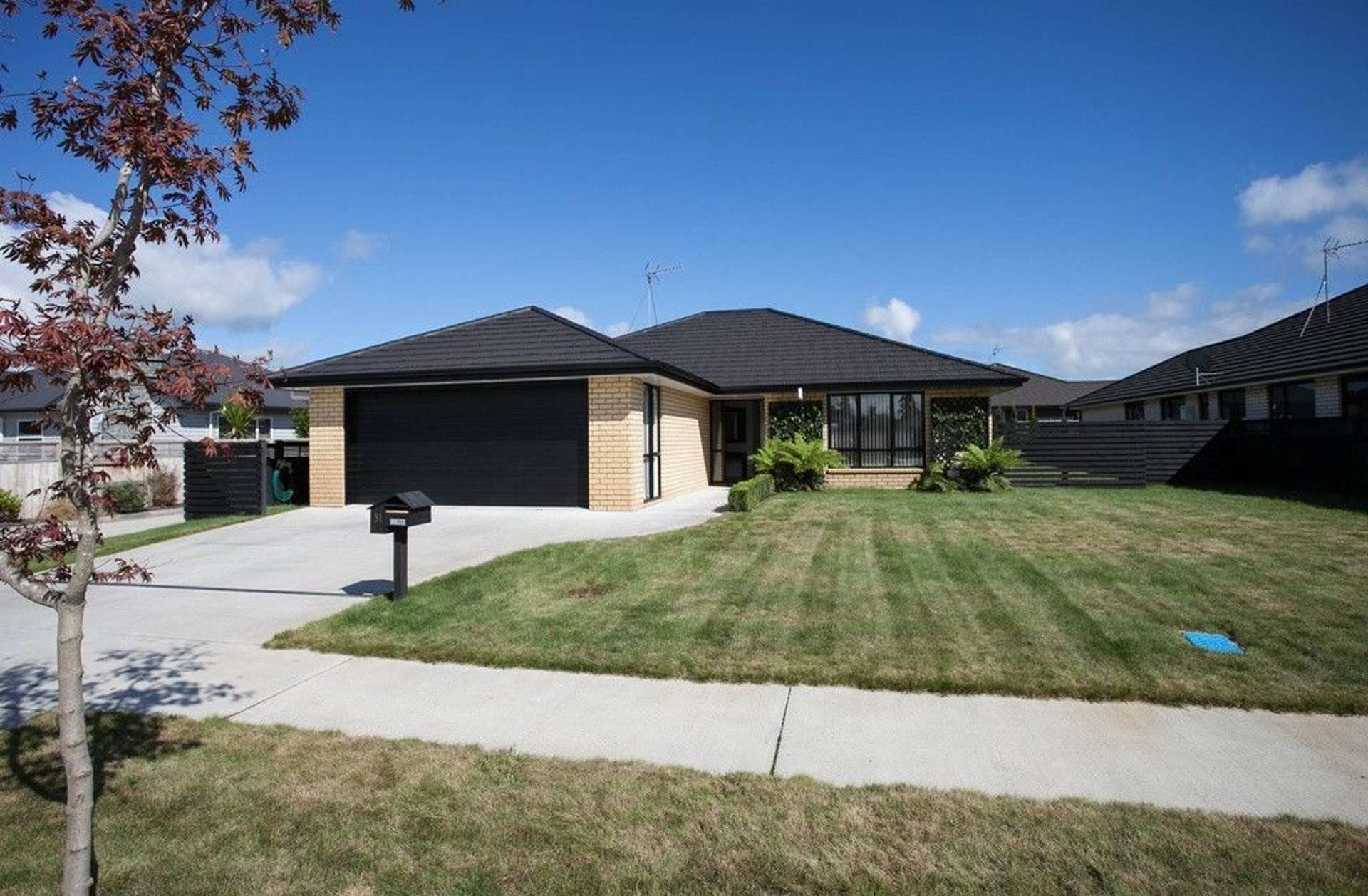 51 West Thompson Street Leamington_0