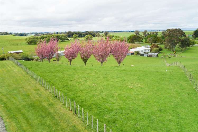 197 Tutaenui Road Marton_29