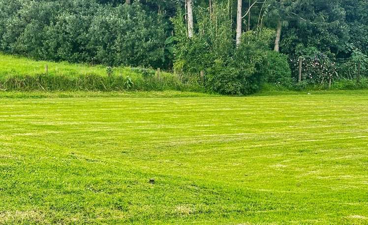 17 Te Uru Lane Kerikeri_10