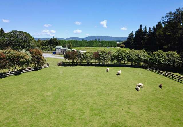 618a Te Matai Road Te Puke_2