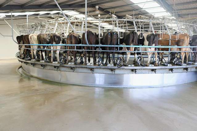 520 Island Edendale Road Menzies Ferry_2