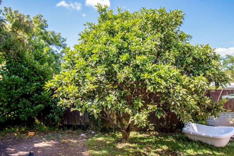 29 Mackenzie Street Te Atatu South_6