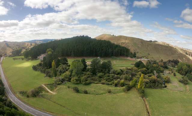 276 State Highway 4 Parikino_2