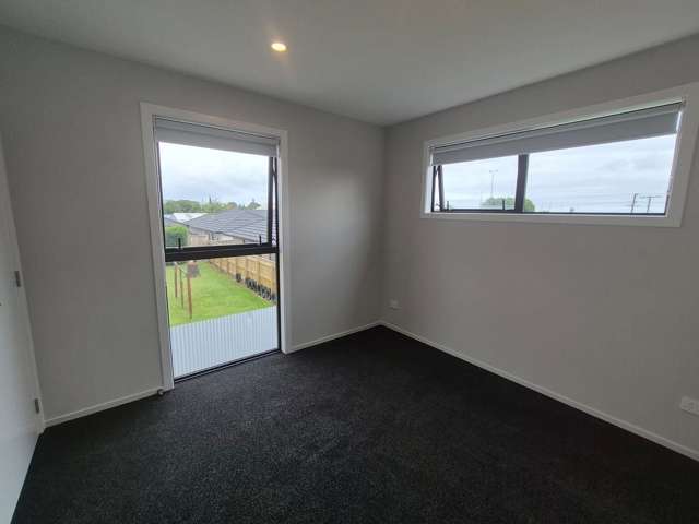 21B Ferguson Street Levin_2