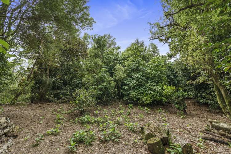 1135 Richmond Road Inglewood_17