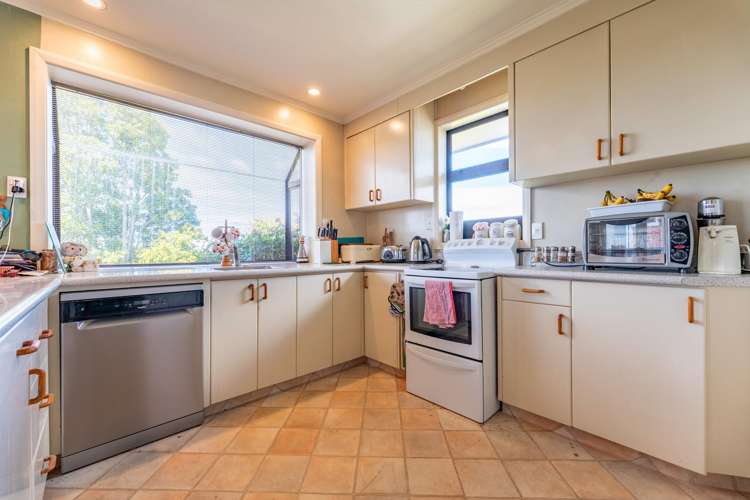 29 Kauri Street Highfield_4