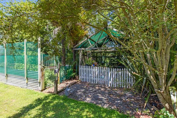 690 Esdaile Road Whakamarama_23