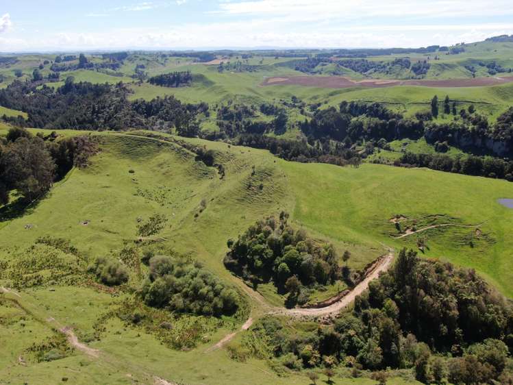 Ngaroma Road Wharepuhunga_7