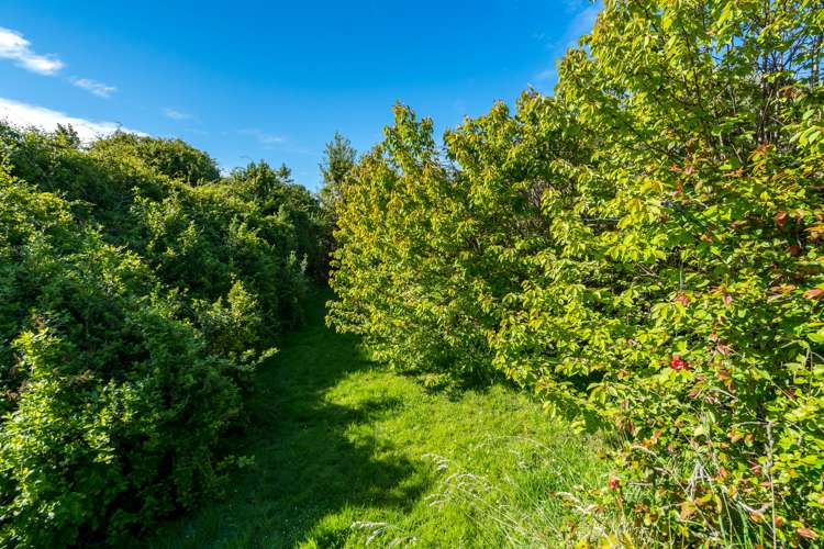 33 Dornoch Street Kew_5