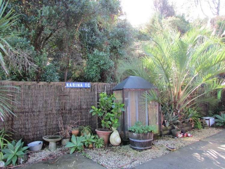 303b Fenton Street Thames_5