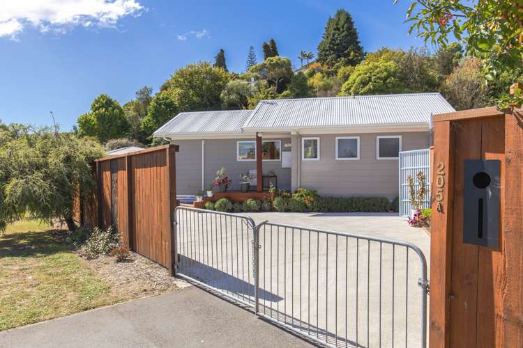 205a Annesbrook Drive Wakatu_10