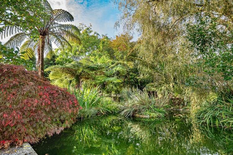 275 Kimberley Road Levin_19