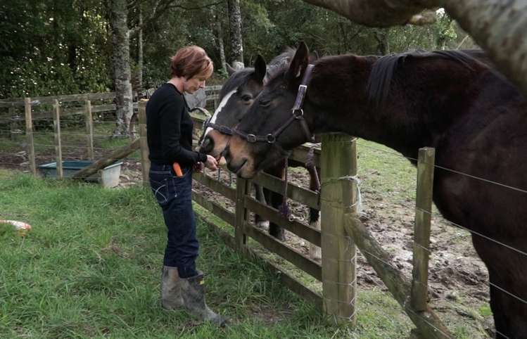 200 Reikorangi Road Waikanae_17