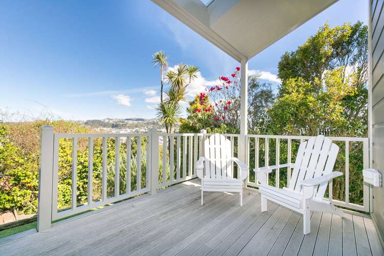 6 Stafford Street Mount Victoria_11