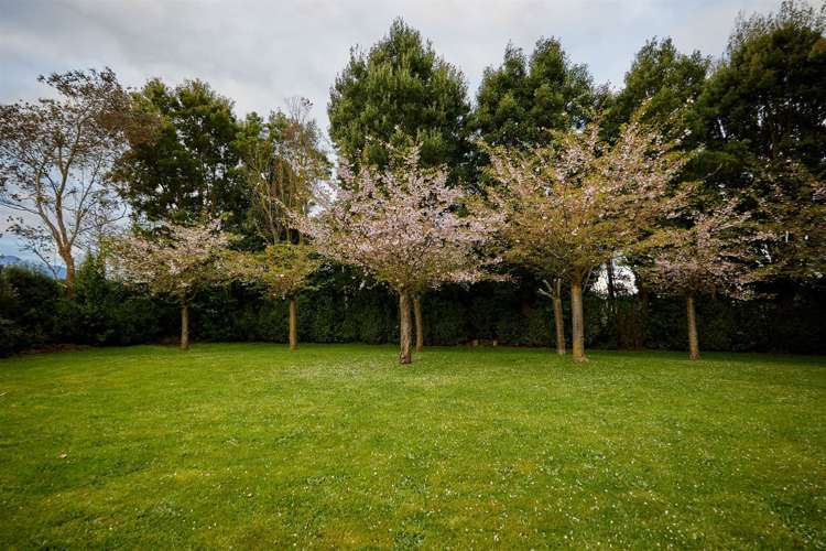 235 Red Swamp Road Kaikoura_7