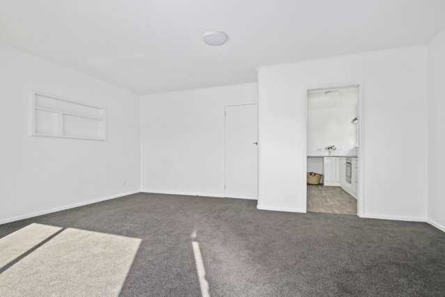 1/216 Queens Road Panmure_2