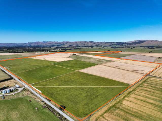 486 Steffan Road St Patricks_4