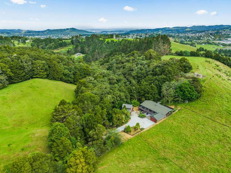329 Vinegar Hill Road Kauri_3