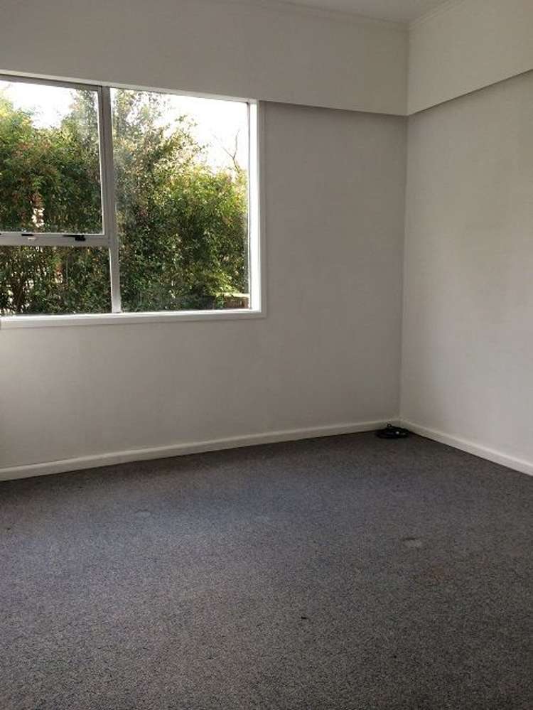 721 Beach Road Browns Bay_4