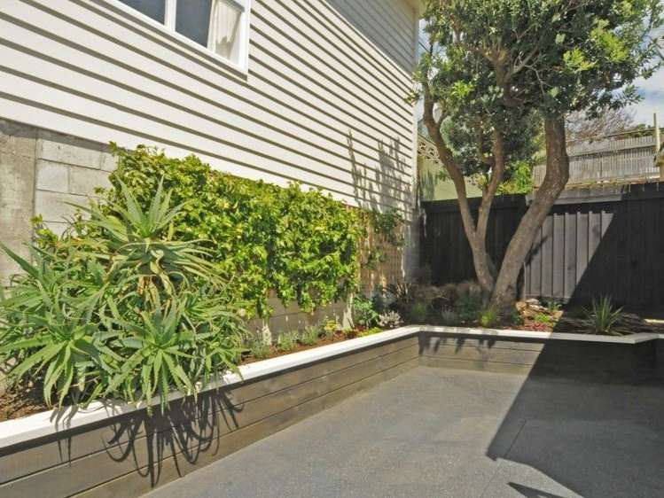 3 Lipman Street Mount Victoria_7