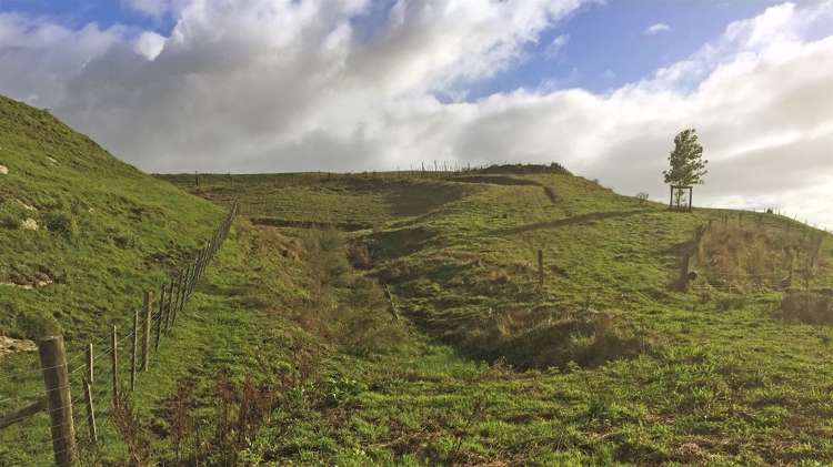 1028b Limeworks Loop Road Karamu_5