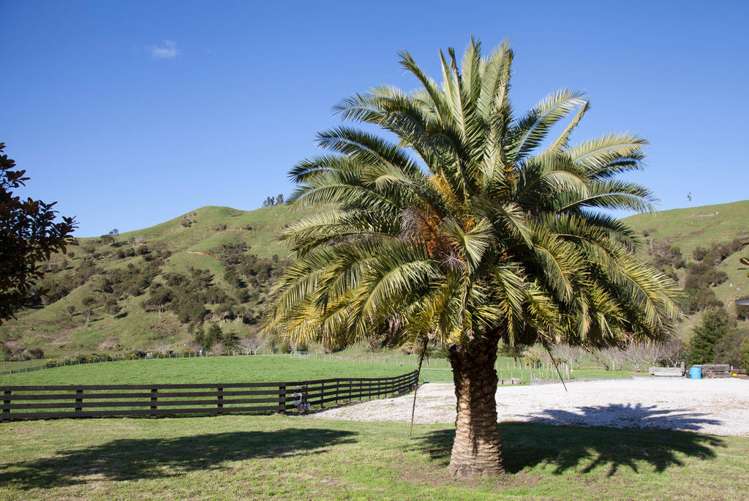 385 Wentworth Valley Road Whangamata_27