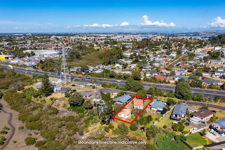 47 Mataroa Road Mount Wellington_4