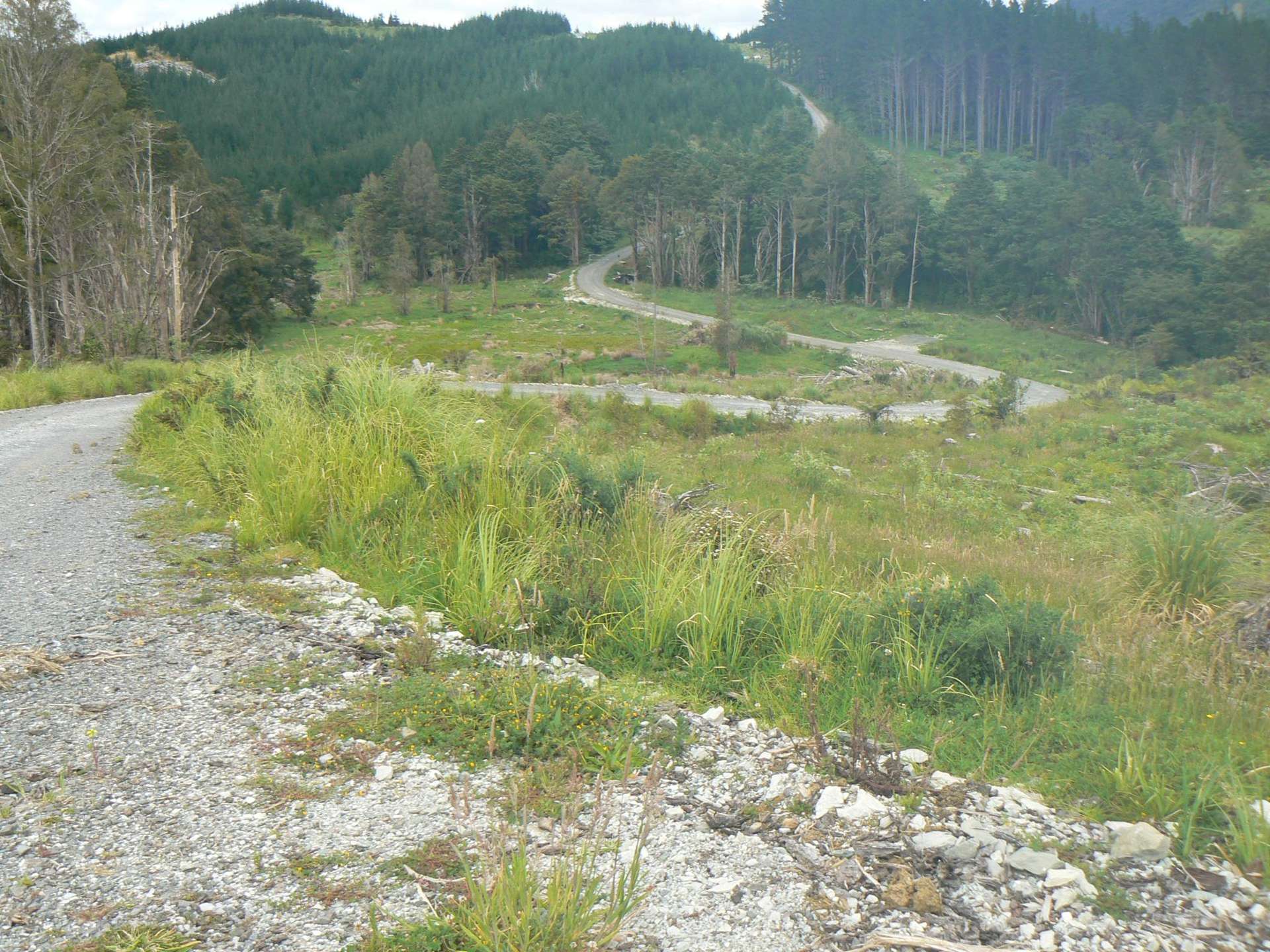 Lot 65 Stoney Creek Road Mangamuka_0