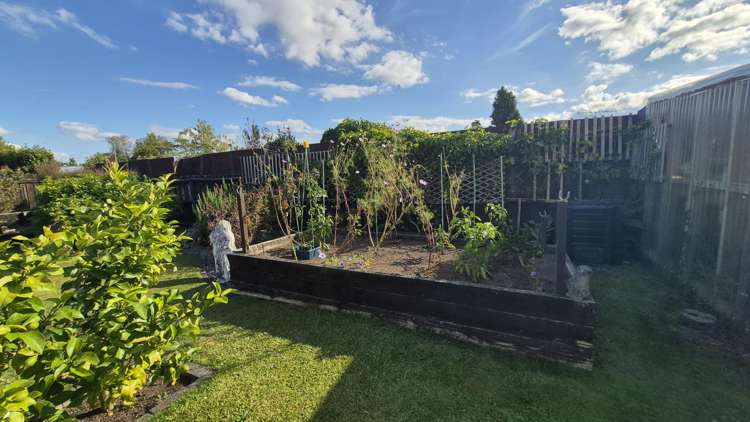 6 Belgravia Place Tokoroa_45