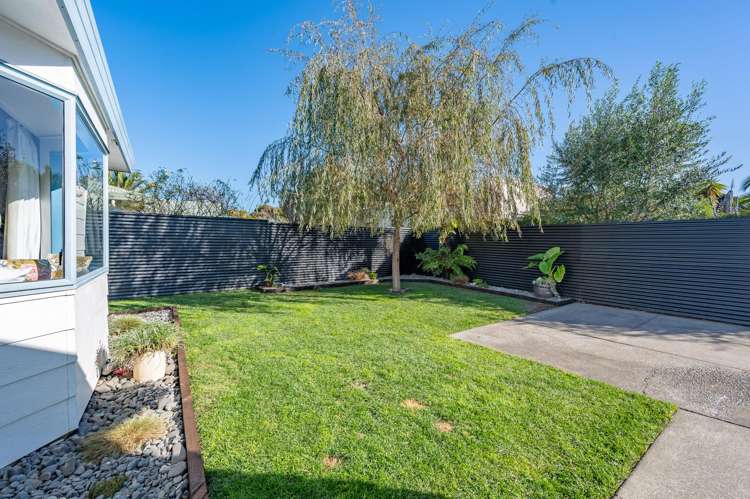 2/237 Georges Drive Napier South_15