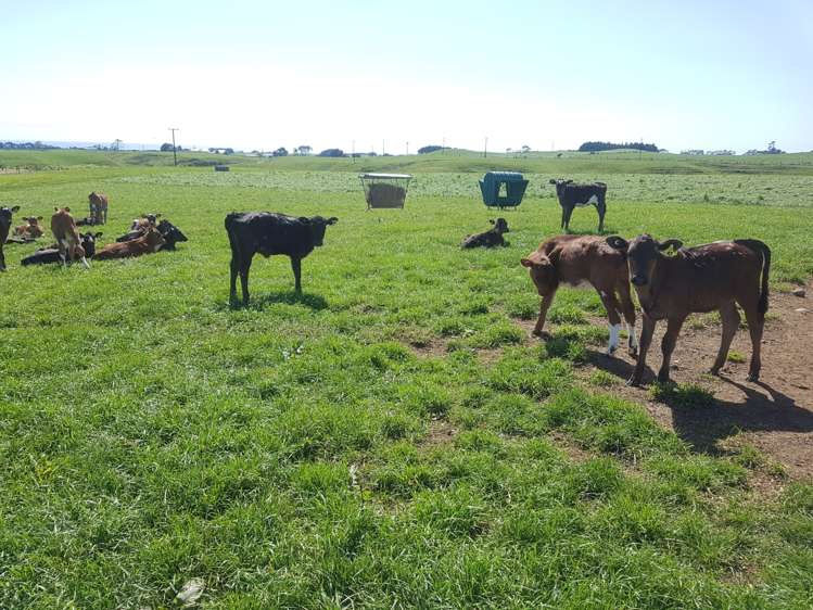 6 Perth Road Okato_19