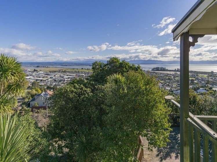 28 Rangiora Terrace Tahunanui_14