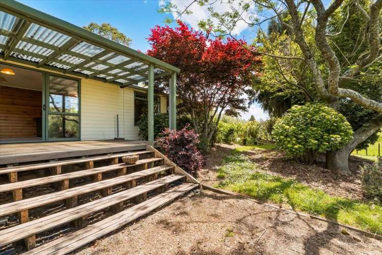 97 Mystery Valley Road Paengaroa_18