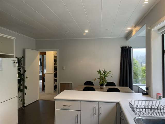 22a Hine Road 10629_3