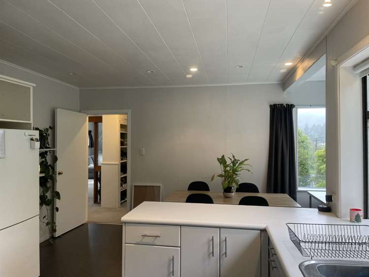22a Hine Road 10629_3