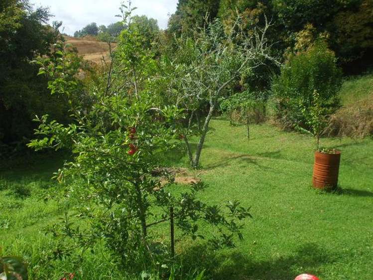 24 Mary Street Te Kuiti_13