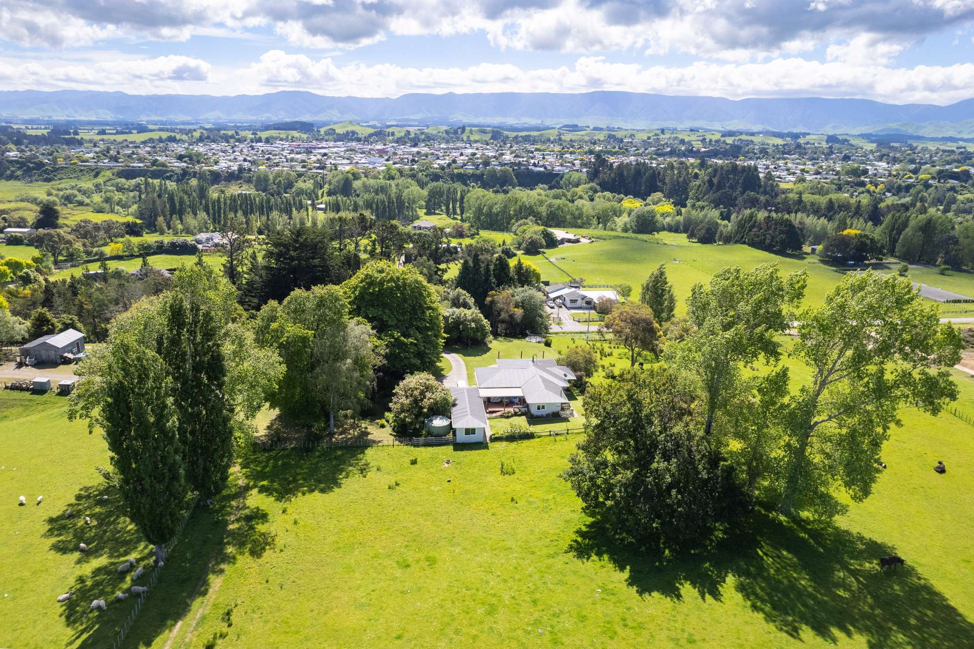 180 Tipapakuku Road Dannevirke_0