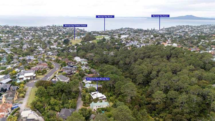 41 Bellbird Rise Murrays Bay_30