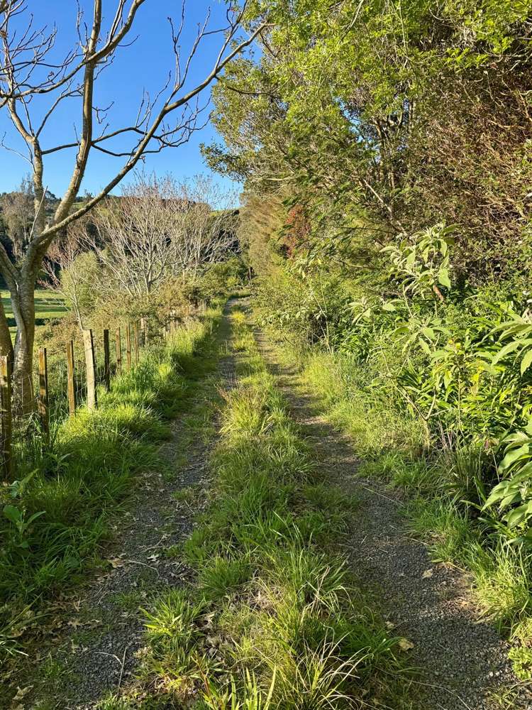 74B Willoughby Road Katikati_24
