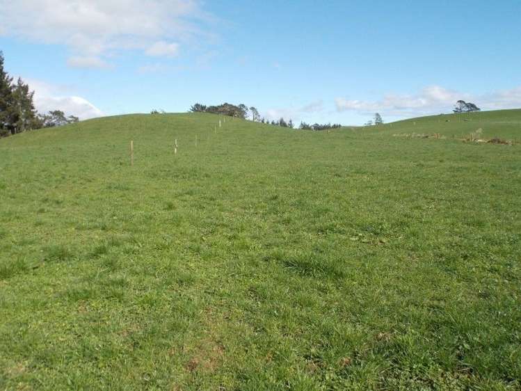 222 Lincoln Road Inglewood_10