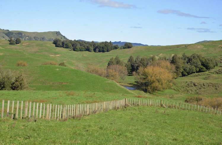 154 State Highway 3 Te Kuiti_1